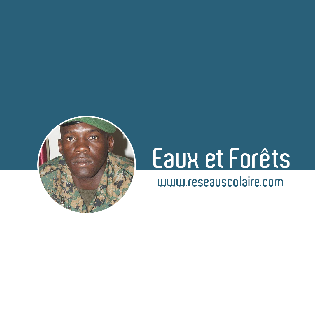 Concours Eaux et Forêts 2023 - Conditions, Dates et Documents à fournir