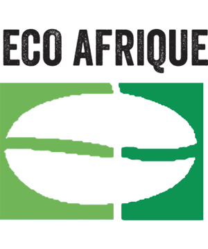 Eco Afrique recrute 01 Directeur technique