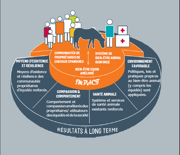 Brooke recrute un agent de développement de contenu (développeur de contenu)