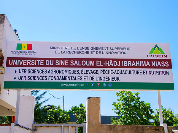 Offre d'emploi : Candidatures pour le Poste de Recteur de l’Université Sine Saloum El-Hadj Ibrahima Niass (USSEIN)