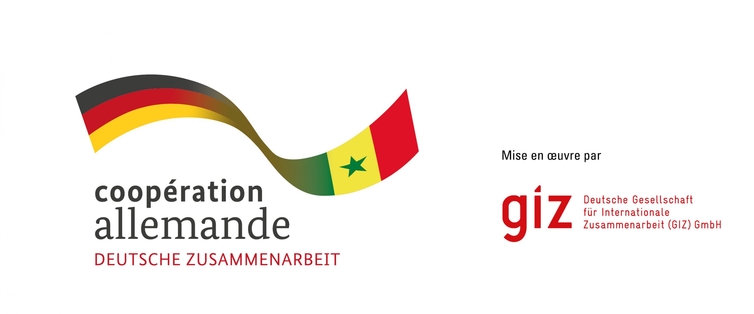 GIZ recrute 01 Expert- e en Finance Comptabilité