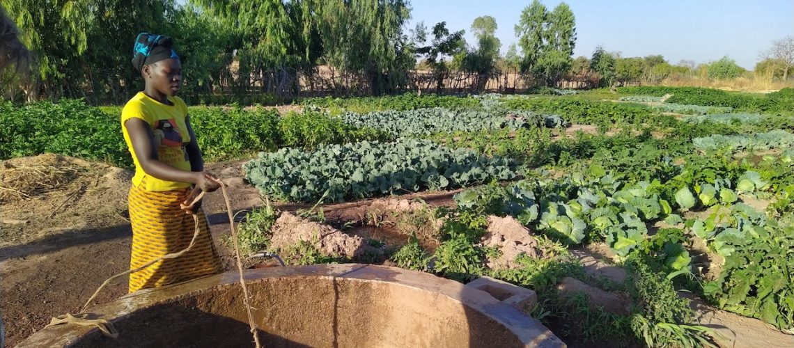 CFEE – Problème 2012 : Jardin potager de l’APE