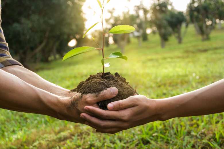 Opportunité de Stage en Santé Sécurité et Environnement