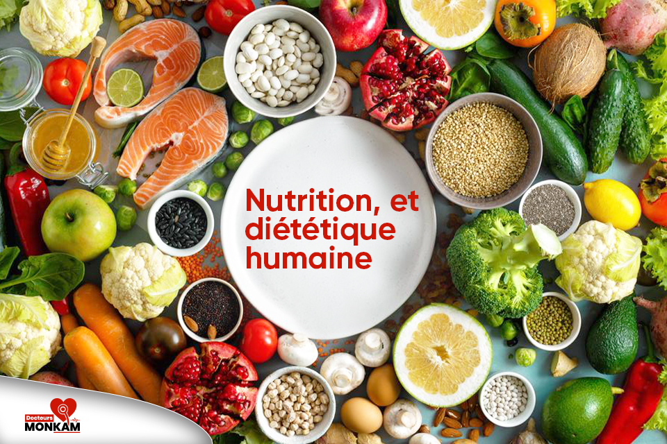 Appel à candidatures pour la Licence en Nutrition Humaine et Diététique (LNHD) à l'UCAD