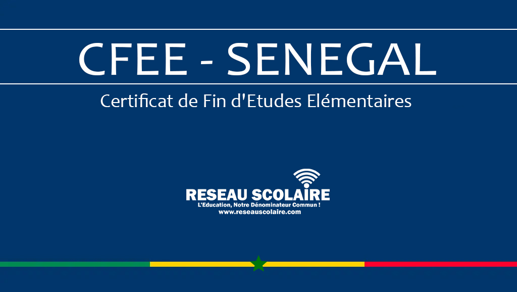 Les Résultats CFEE 2024 : Découvrez les Listes des Candidats Admis par IEF