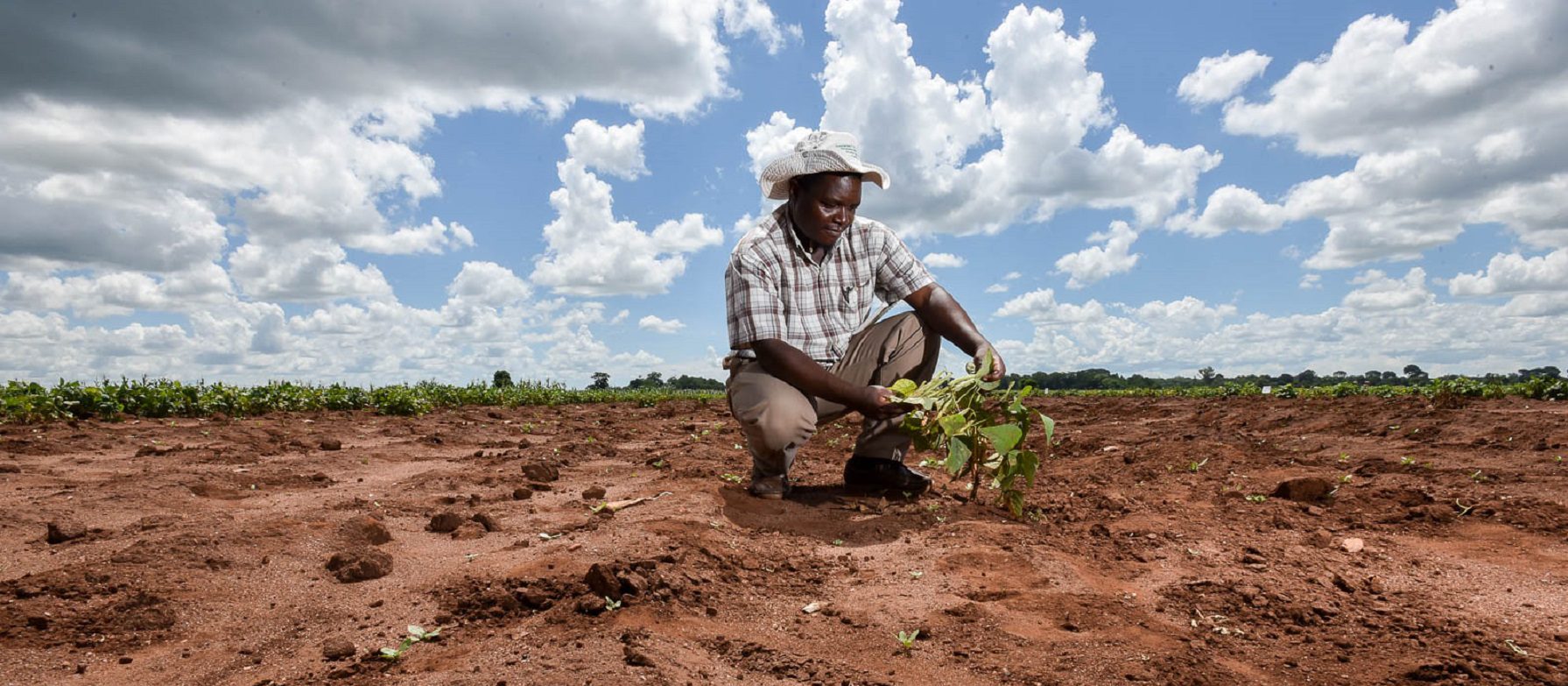 Concours CAP - Agriculture 2023