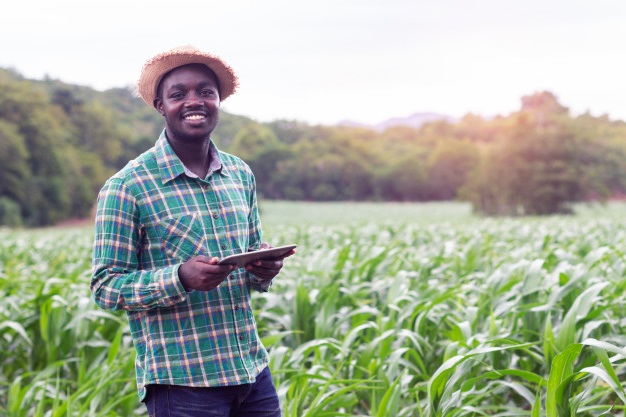 SETAVE | Recrutement d’un(e) Technicien(ne) en Horticulture, Environnement et Jardinage – Dakar