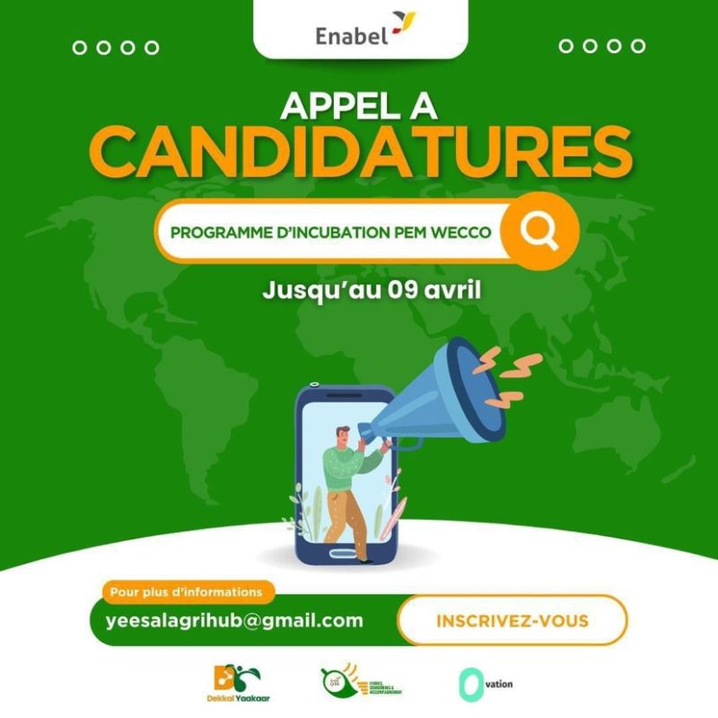 Appel à projets - PEM WECCO - double espace 2024 - création de relations d'affaires durables entre la Belgique et le Sénégal