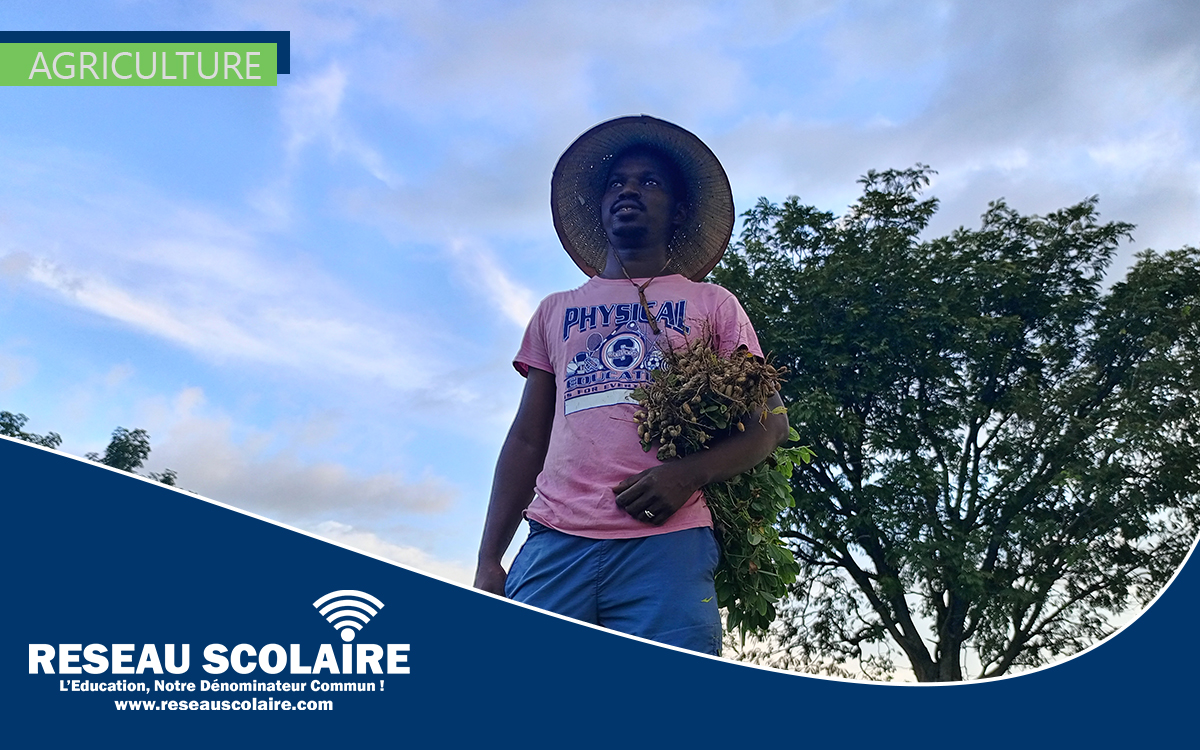 Avis de recrutement pour un(e) Chef(fe) de Projet chez Eclosio, une ONG basée en Belgique, pour un projet visant à améliorer la production agricole dans certaines régions du Sénégal