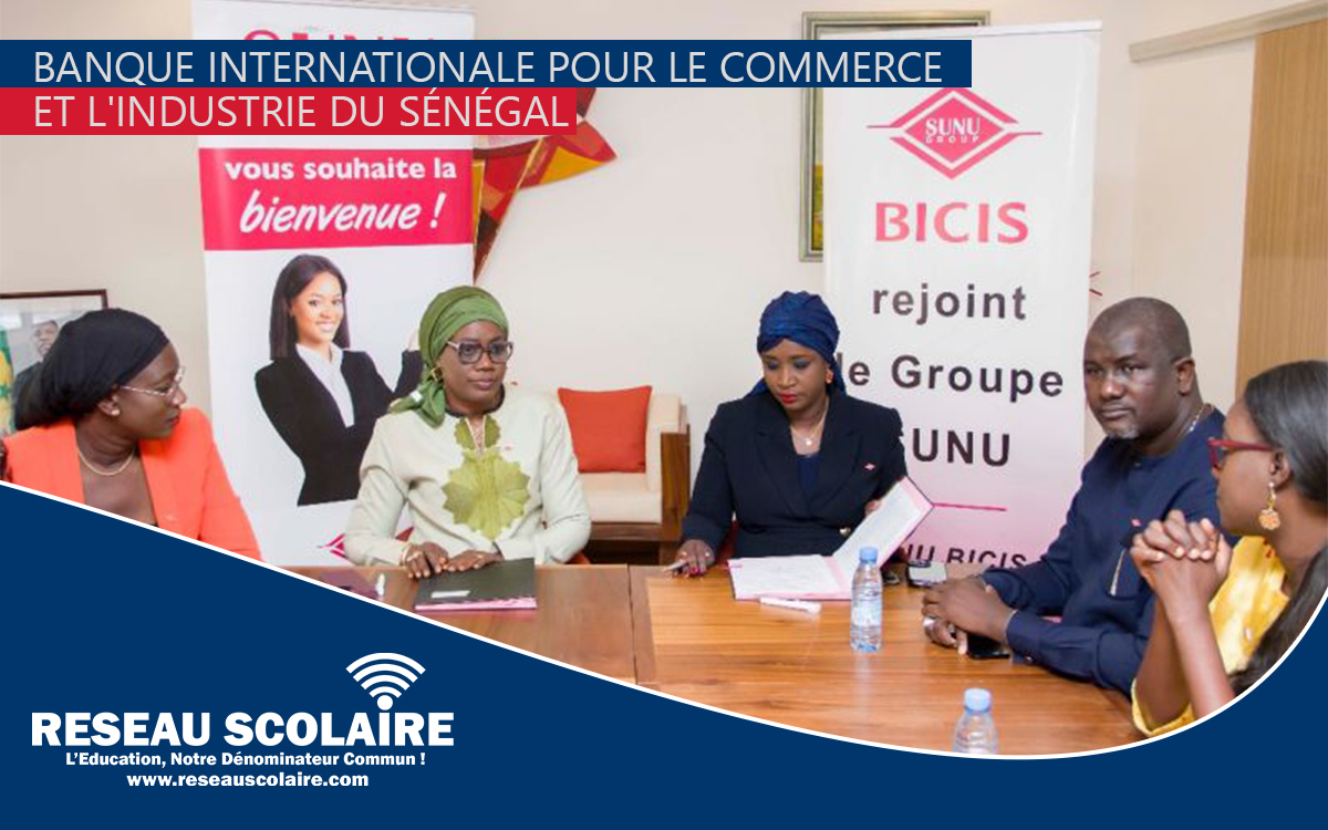 BICIS recrute un Responsable Contrôle Permanent