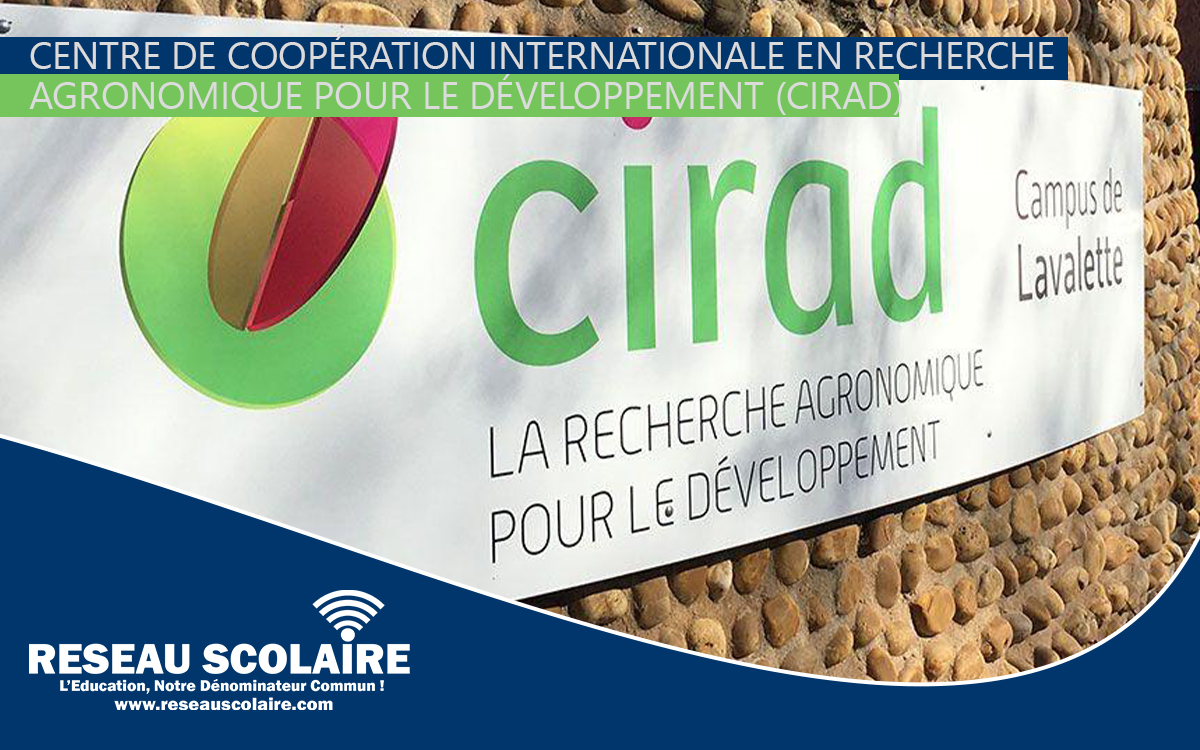 Offre d'Emploi : Chargé(e) de Communication - Direction Régionale du CIRAD pour l'Afrique Centrale