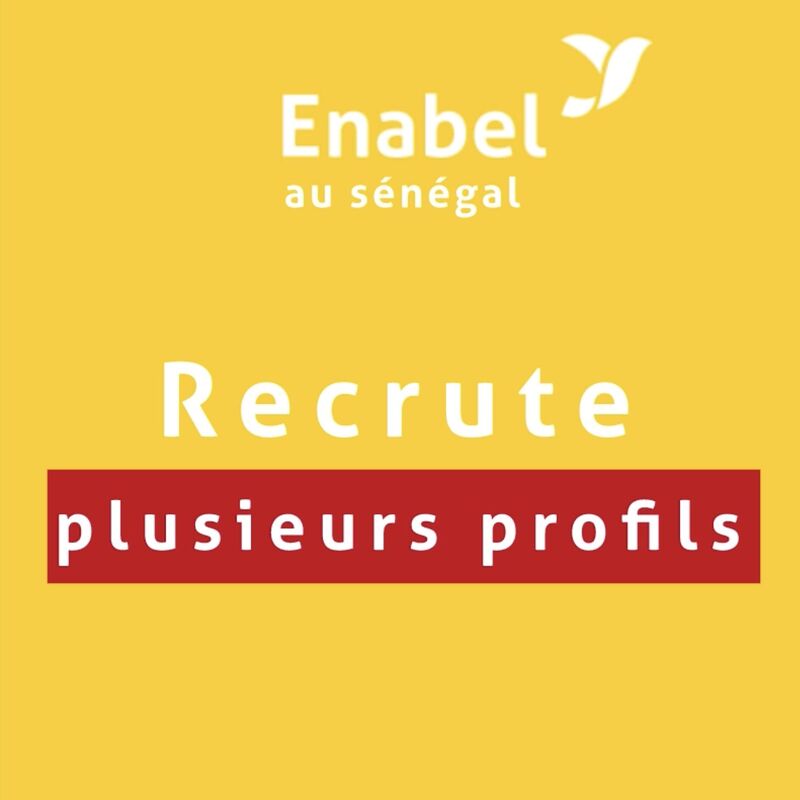 Recrutement : Expert en Appui Institutionnel et Ingénierie de la Formation (H/F) - Kaolack, Sénégal