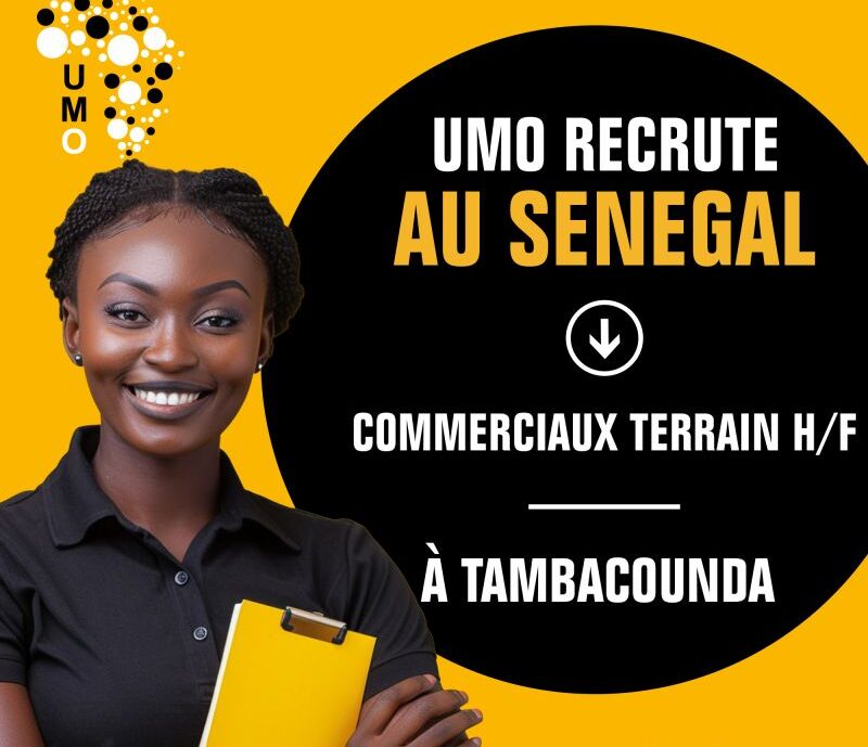 UMO recherche des Commerciaux Terrain à Tamba pour un de ses clients évoluant dans l'agroalimentaire