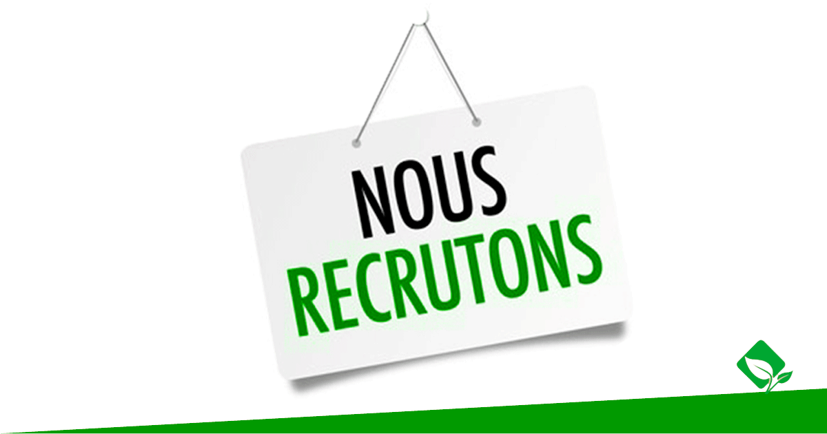 Offre d'emploi : ONG Enda Ecopop recrute neuf(9) Chargés (es) d'Appui dans le cadre du Projet GolD+ pour les régions de Tambacounda, Kolda et Kédougou
