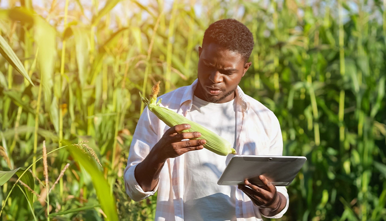 Offre d'emploi : Consultant en agrobusiness 