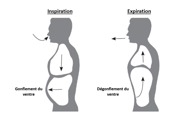 SURVEILLANCE DE LA RESPIRATION