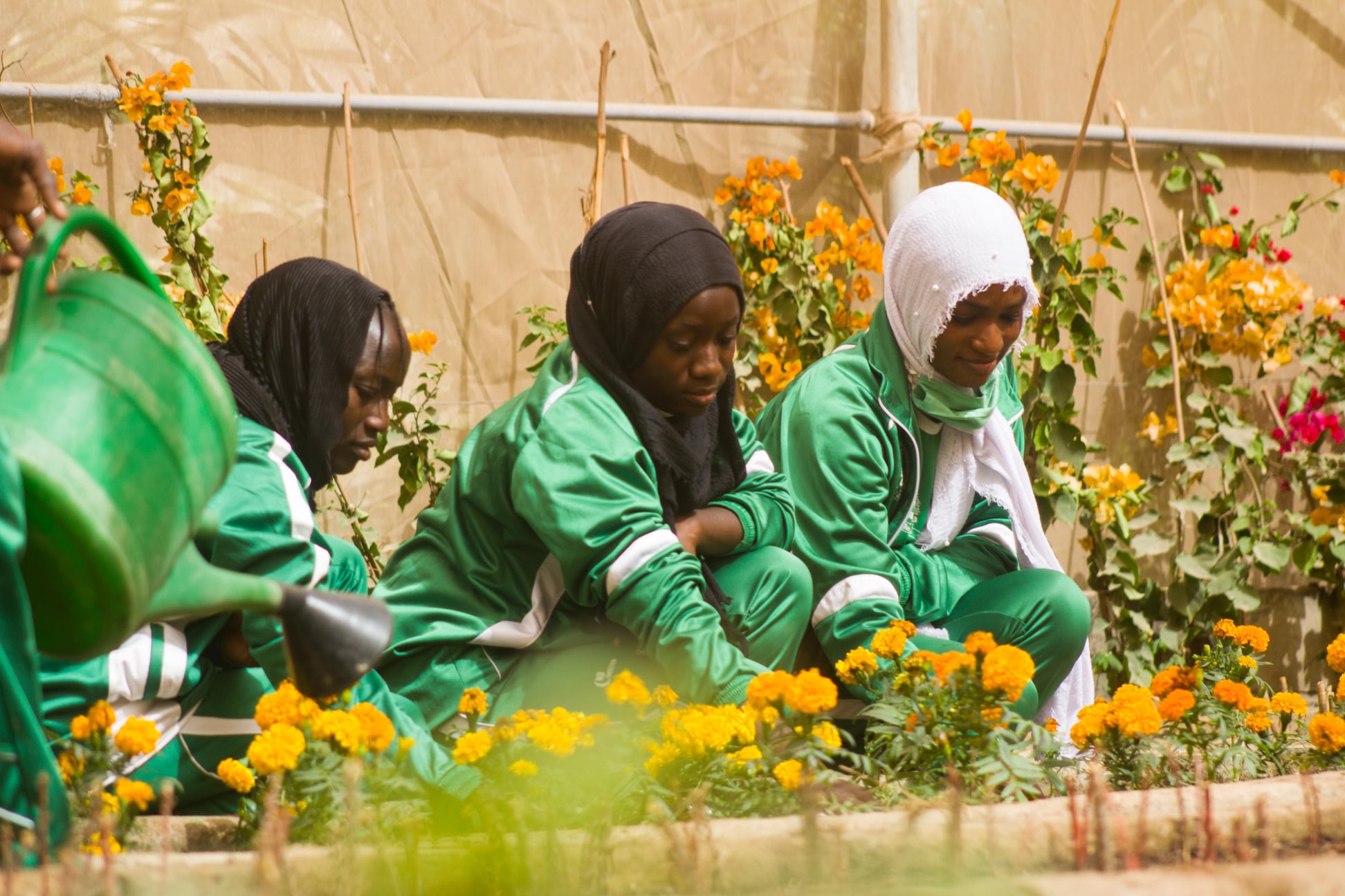 Concours direct d'entrée au Centre de Formation Professionnelle Horticole de Cambérène de Dakar